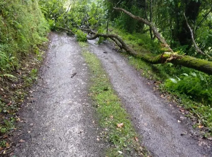 Alejandra Villa Cudillero